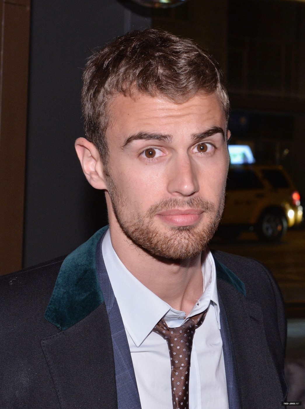 theojamesweb_2822629.jpg