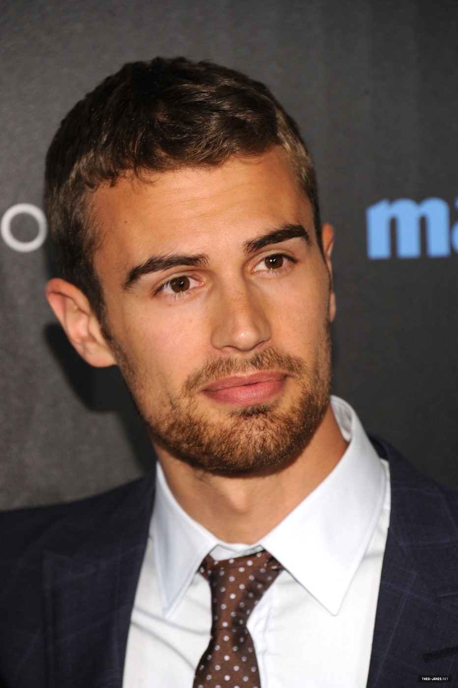 theojamesweb_283329.jpg