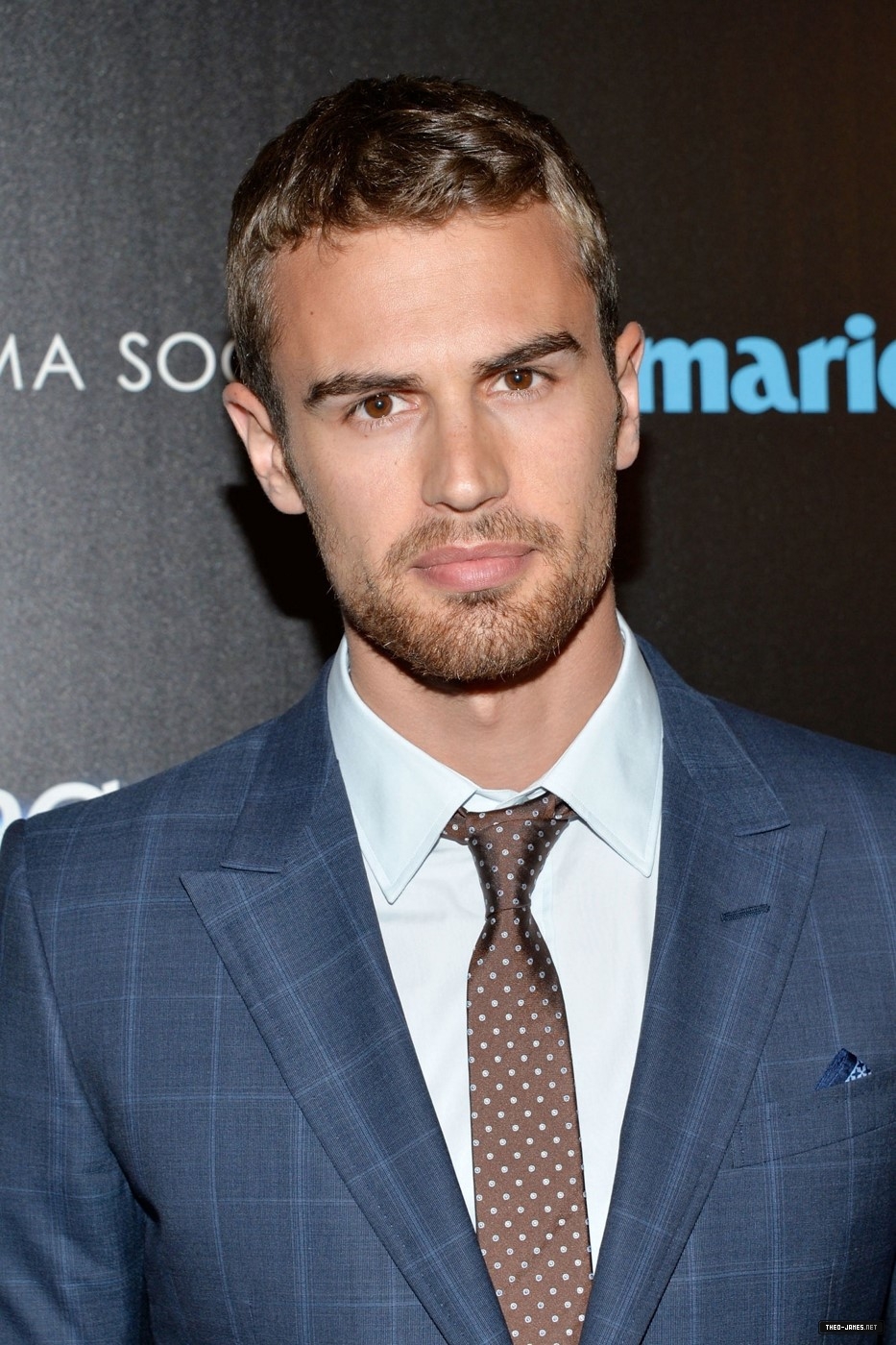 theojamesweb_283929.jpg