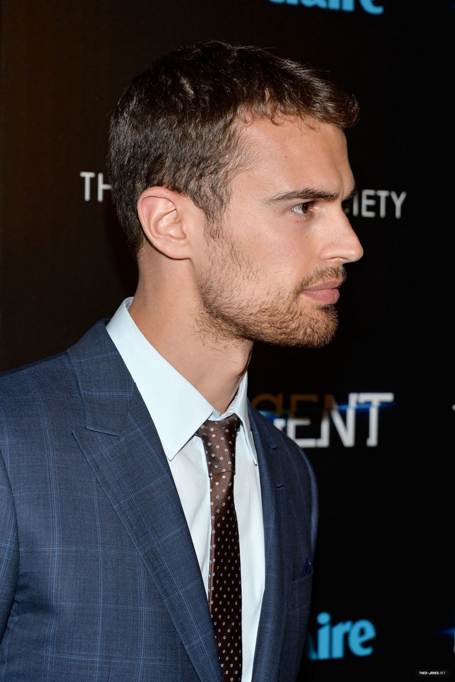 theojamesweb_284229.jpg