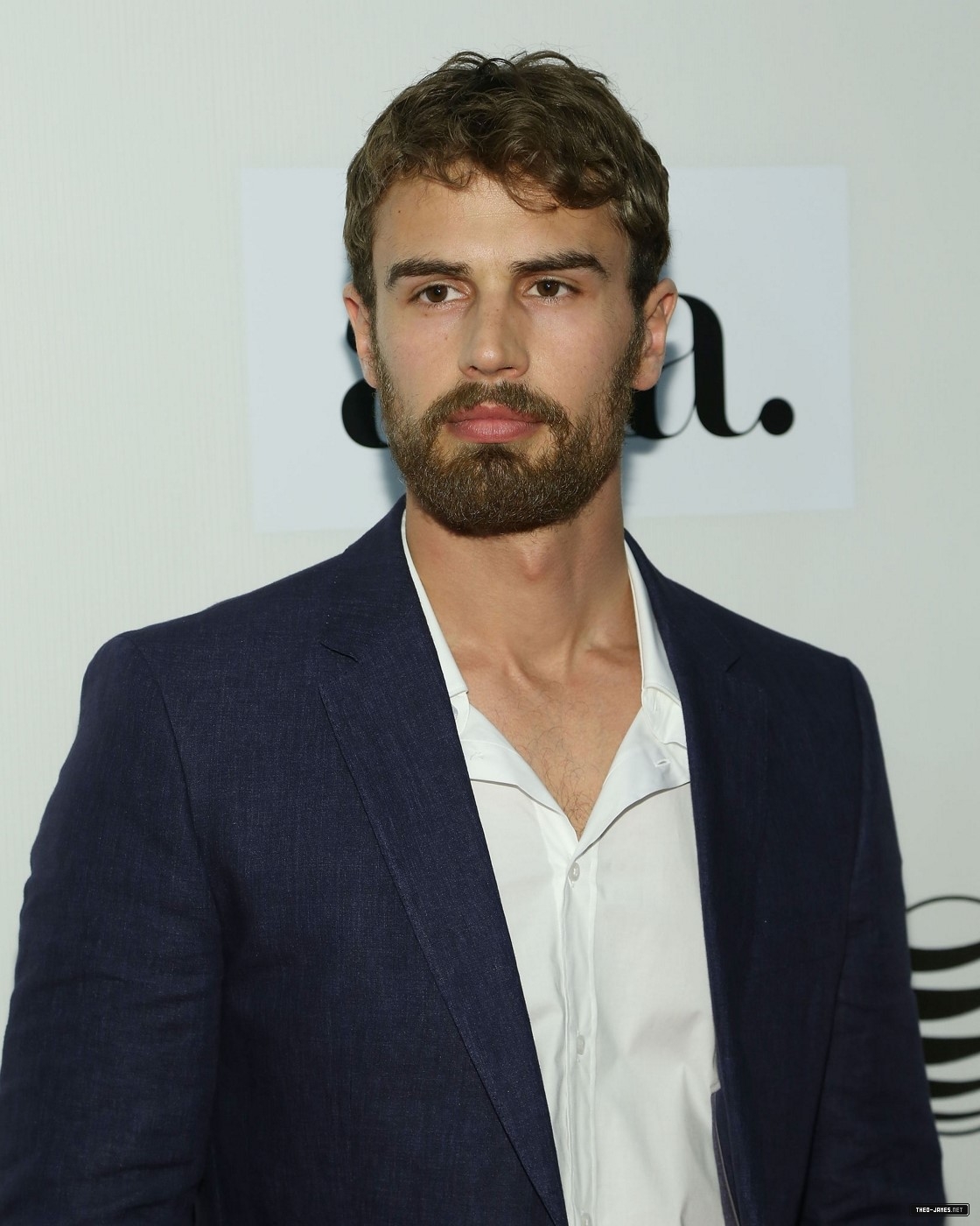 theojamesweb2946.jpg