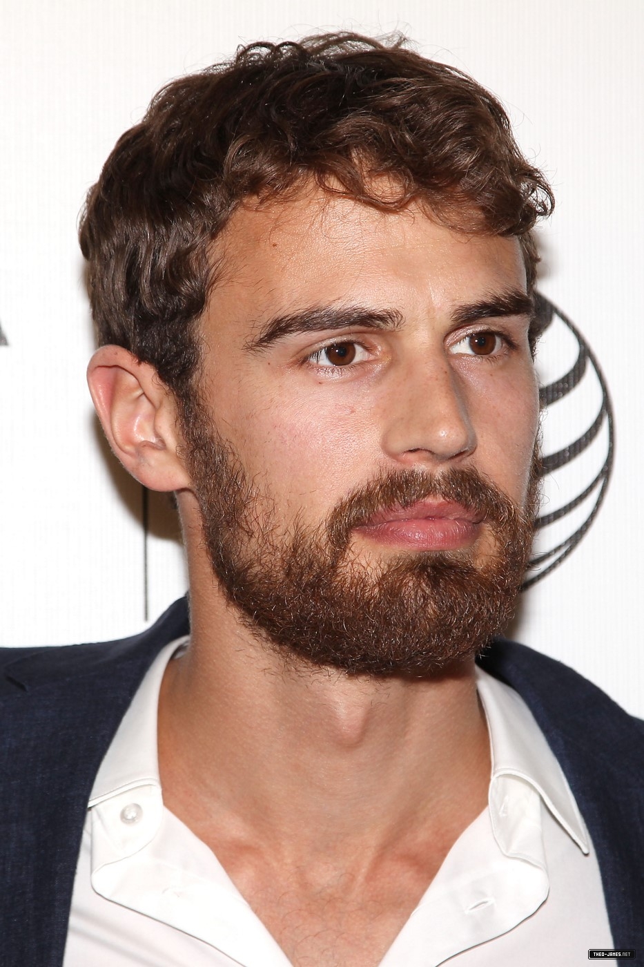 theojamesweb3014.jpg