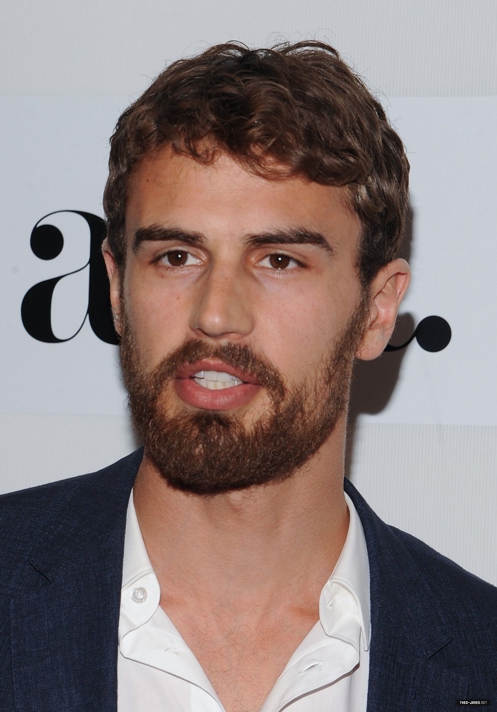 theojamesweb3033.jpg