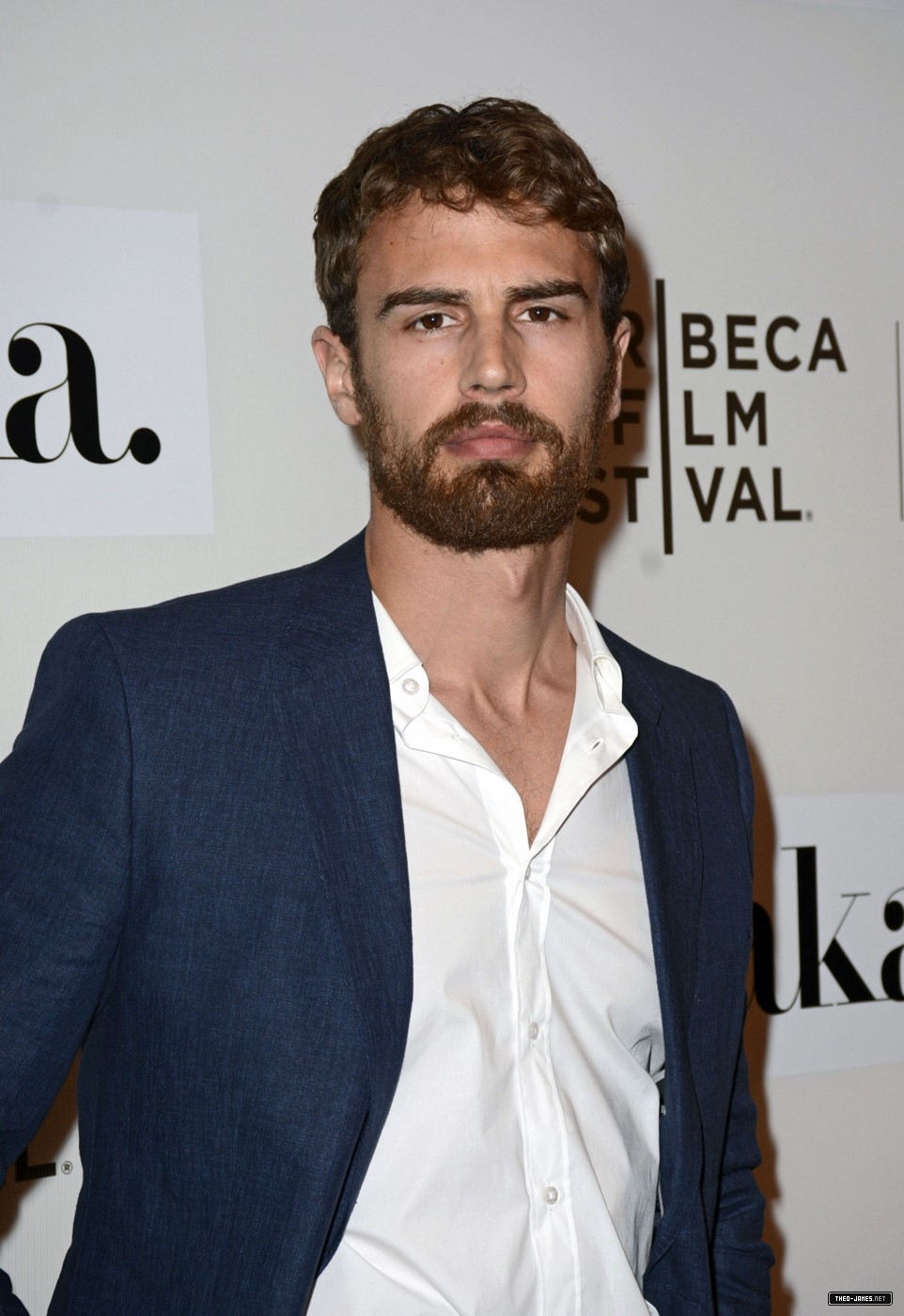 theojamesweb3060.jpg