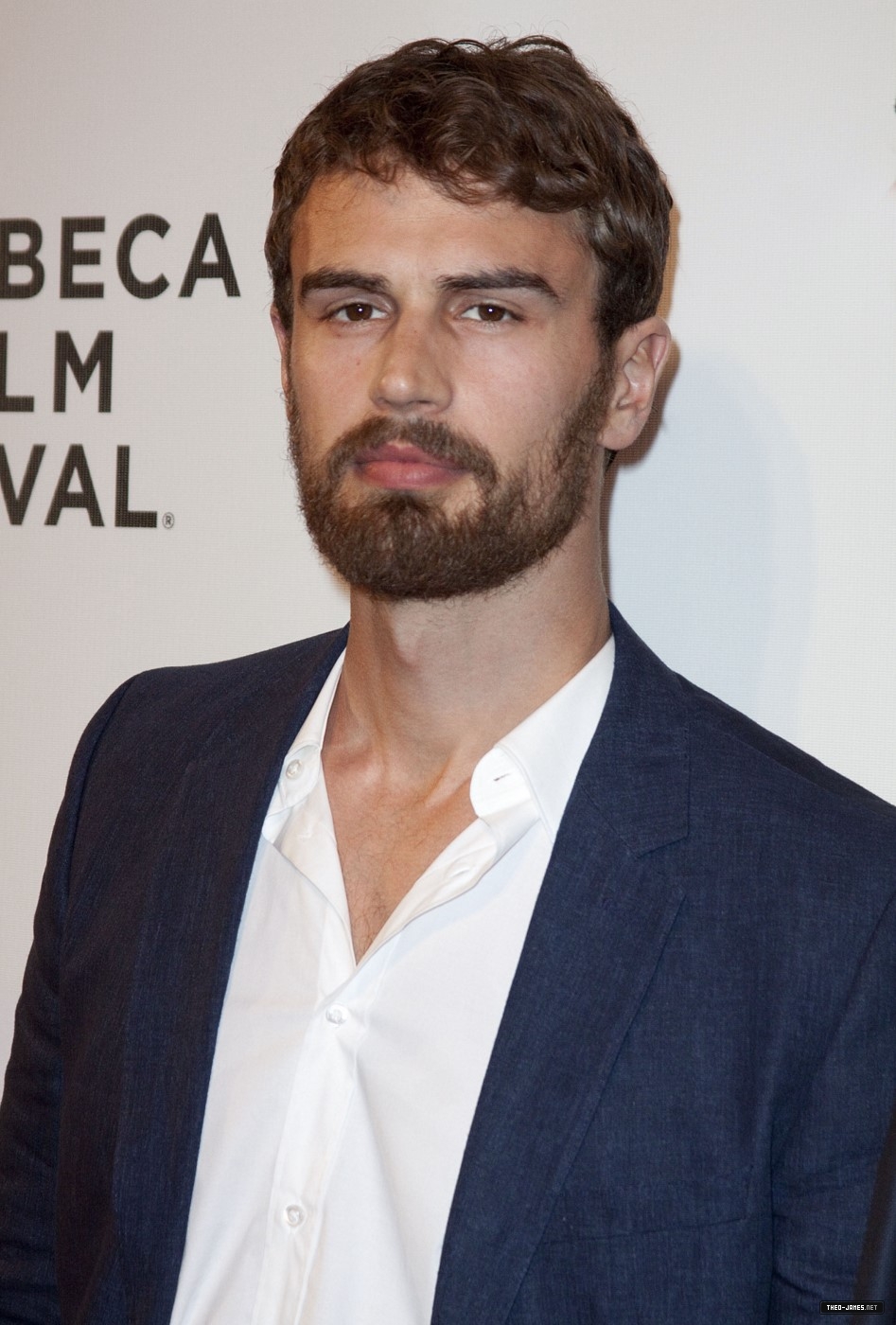 theojamesweb3072.jpg