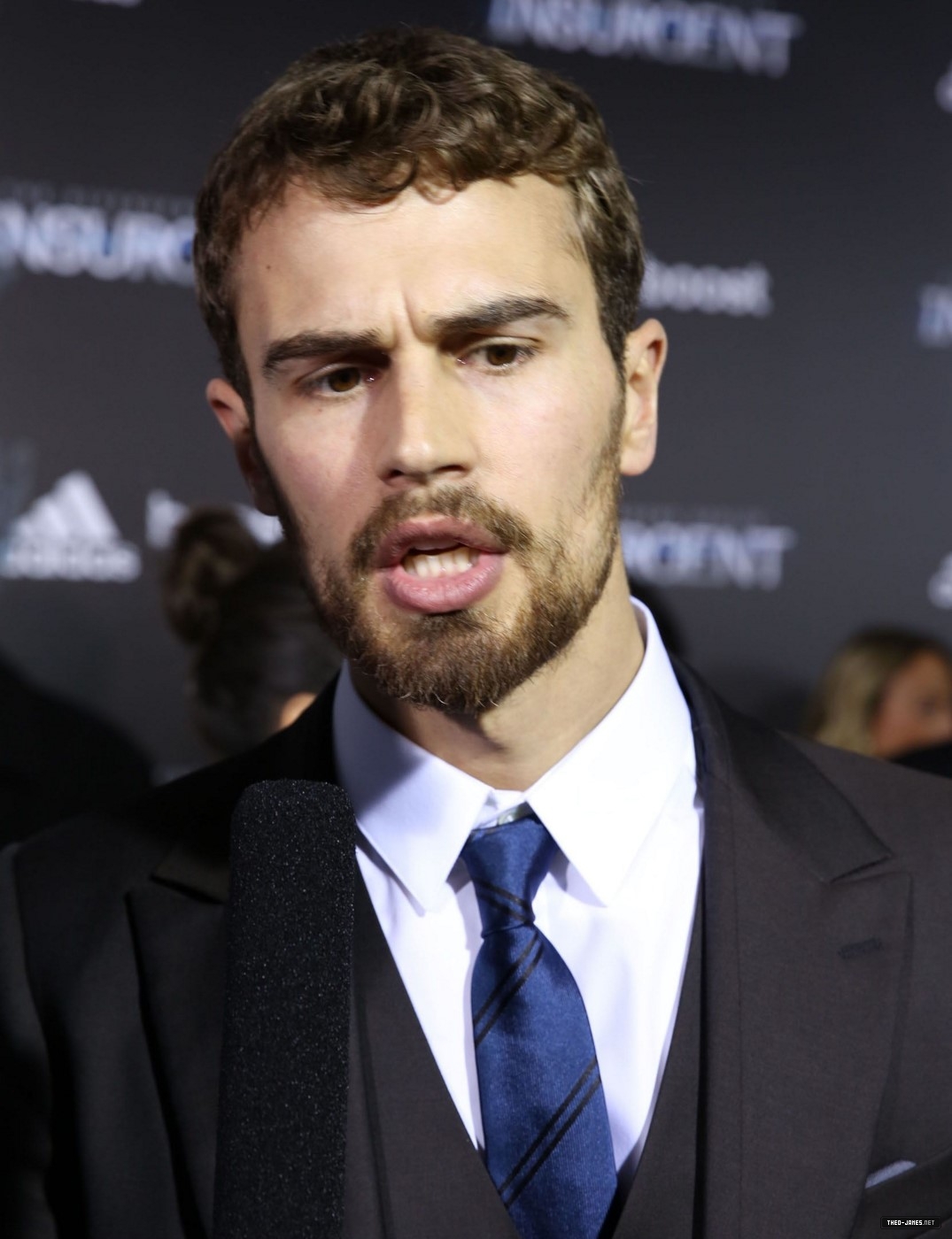 theojamesweb3560.jpg