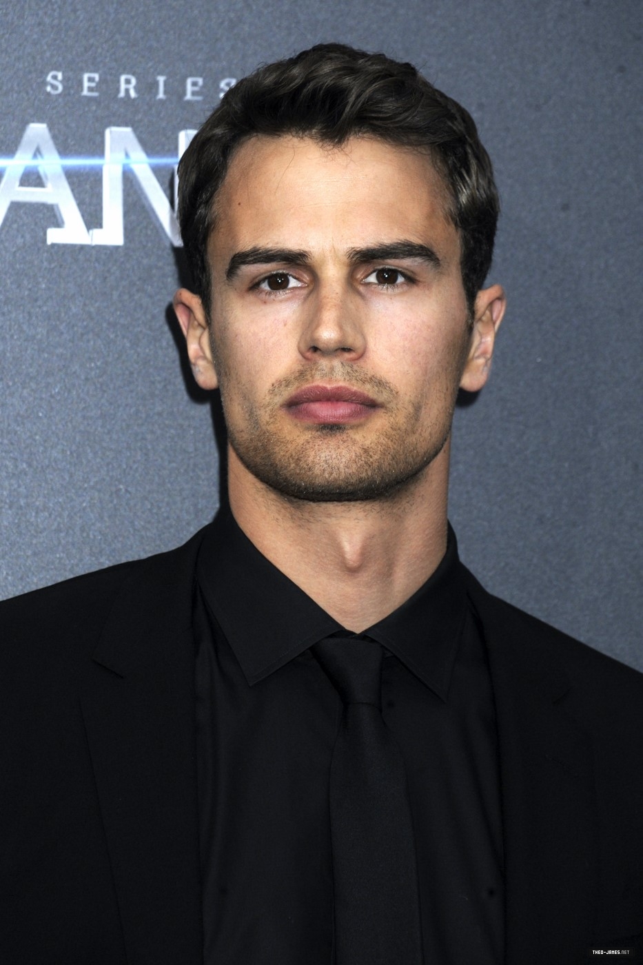 theojamesweb4100.jpg