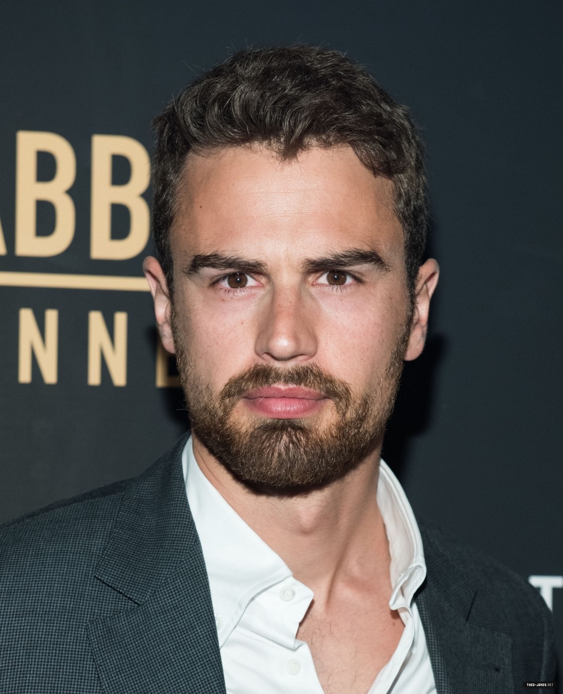 theojamesweb4473.jpg